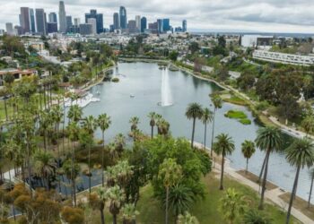 My frustrations were global, but the solutions were local