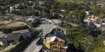 What to plant (and what to remove) in California’s new ‘Zone Zero’ fire-safety proposal