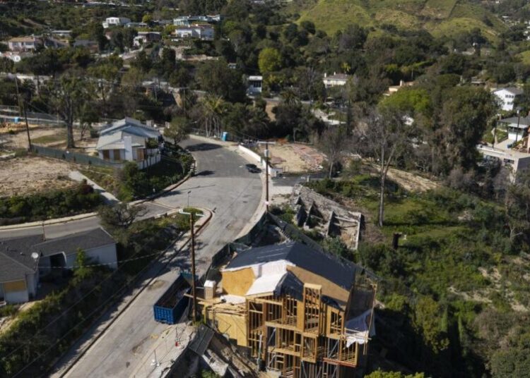 What to plant (and what to remove) in California’s new ‘Zone Zero’ fire-safety proposal