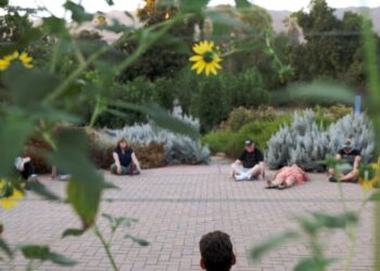 People ‘bathe’ in nature to get respite from chaotic news cycle