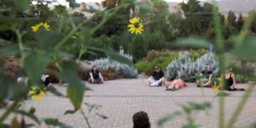 People ‘bathe’ in nature to get respite from chaotic news cycle