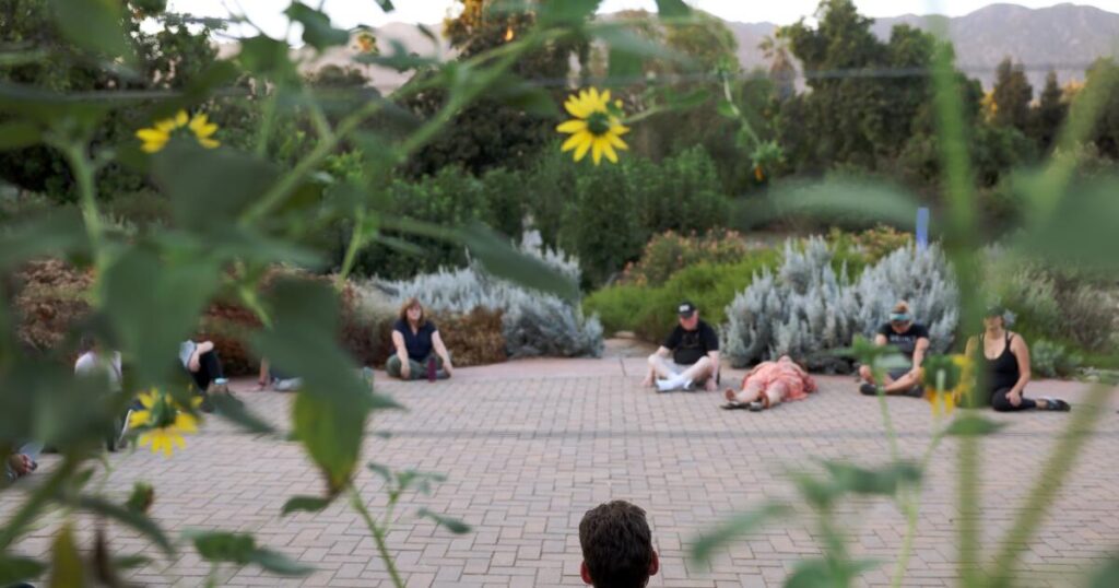 People ‘bathe’ in nature to get respite from chaotic news cycle