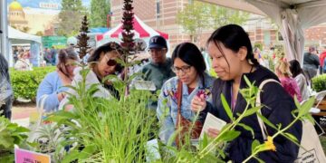 Stop and smell the native plants at the L.A. Times Plants booth at Festival of Books