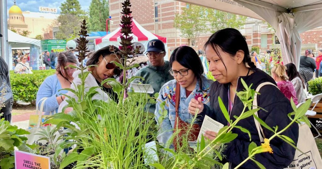 Stop and smell the native plants at the L.A. Times Plants booth at Festival of Books