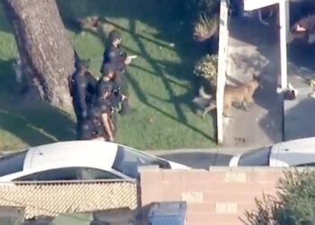 Woman stabbed to death in Sylmar, killer remains at large