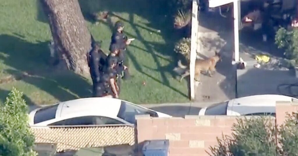 Woman stabbed to death in Sylmar, killer remains at large