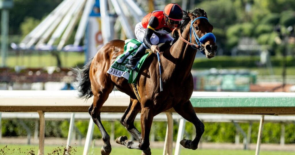 So Happy wins Santa Anita Derby but not before another horse is euthanized