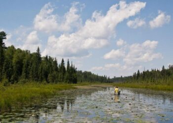 Trump lifts ban on mining near Boundary Waters, clearing way for Chilean company to seek permits