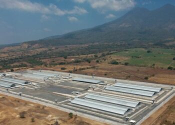 Nearly 500 alleged MS-13 members in El Salvador face a sweeping mass trial