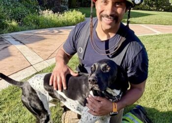 Heroic dog’s nonstop barking saves Orange County family from fire, says owner