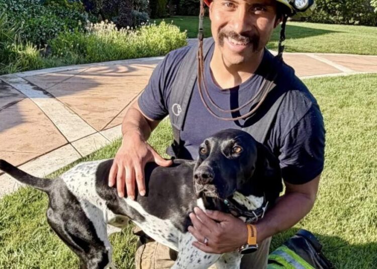 Heroic dog’s nonstop barking saves Orange County family from fire, says owner