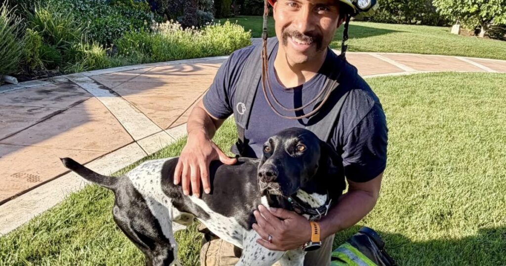 Heroic dog’s nonstop barking saves Orange County family from fire, says owner