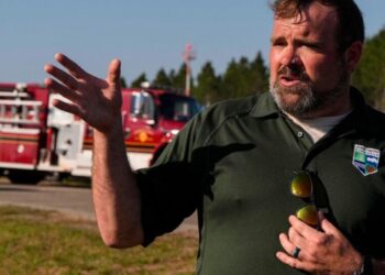 Southern U.S. wildfires force residents to flee, leaving them unsure if their homes are standing