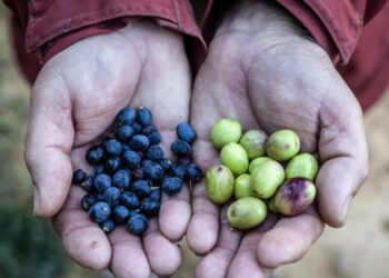 Climate change is already showing up in the cost of living