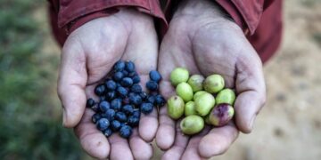 Climate change is already showing up in the cost of living