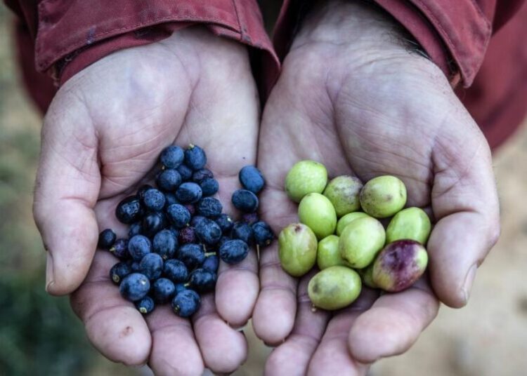 Climate change is already showing up in the cost of living