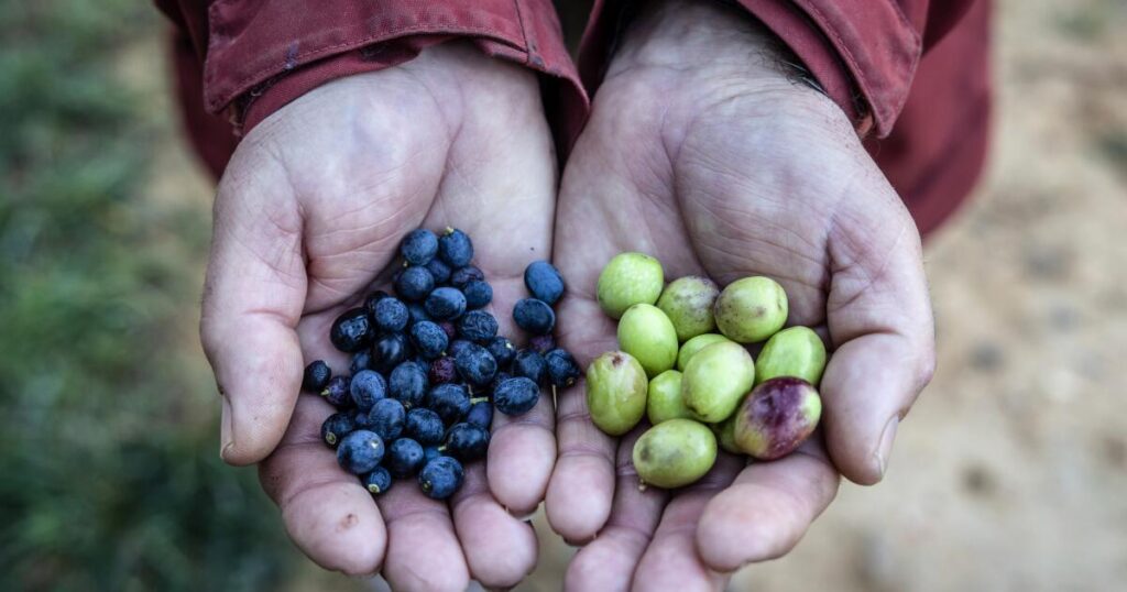 Climate change is already showing up in the cost of living