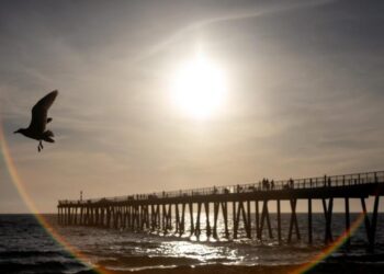 The ocean off California keeps breaking heat records