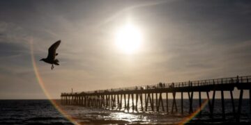The ocean off California keeps breaking heat records