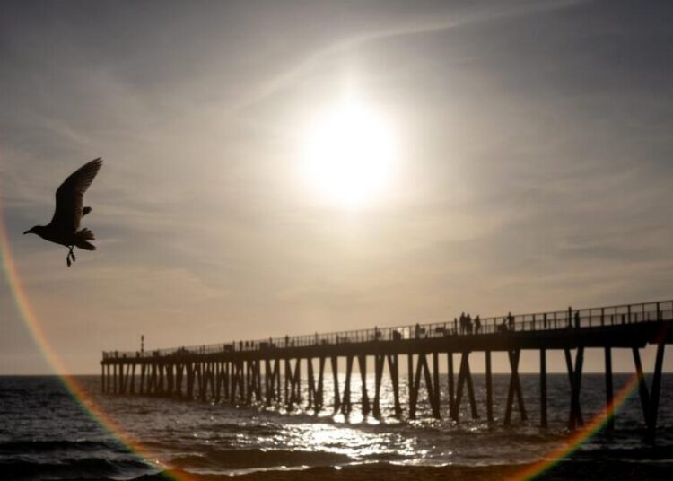 The ocean off California keeps breaking heat records