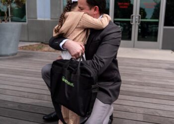 A sudden shift: ICE arrests drop nearly 12% after Minneapolis killings and immigration shake-up