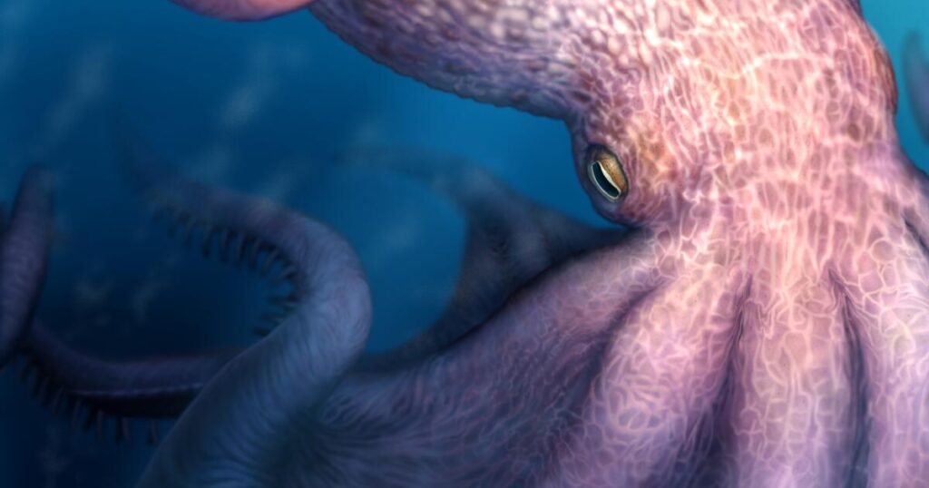 A massive kraken-like octopus may have prowled the seas during the age of dinosaurs