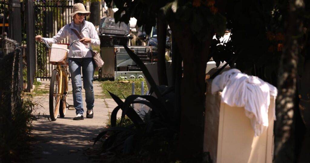 She’s a Hollywood housekeeper with a side job: cleaning the trashed streets of her own neighborhood