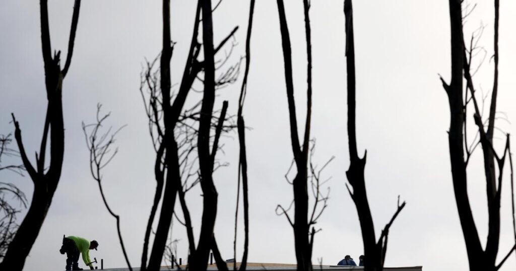 A truce appears in the ‘Hands Off Our Yards’ wildfire landscaping wars