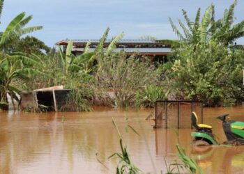 Hawaii’s North Shore flooding likely diluted pesticide risk