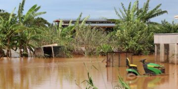 Hawaii’s North Shore flooding likely diluted pesticide risk