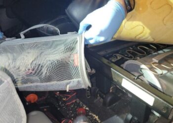 Sedated, injured, even dead: Exotic bird smuggling cases underscore a problem at the border