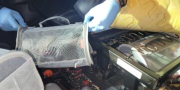 Sedated, injured, even dead: Exotic bird smuggling cases underscore a problem at the border