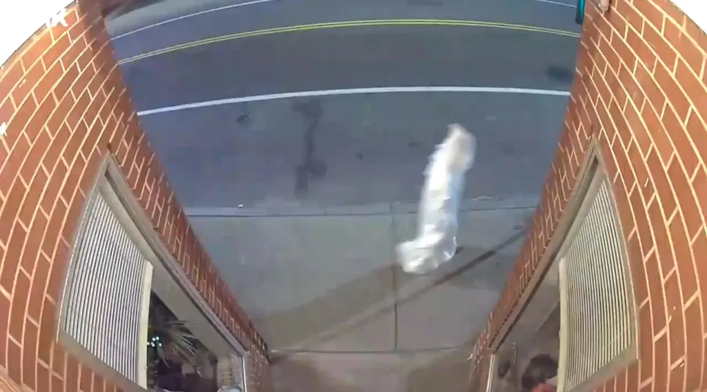 Police confirmed they are investigating the disturbing video.