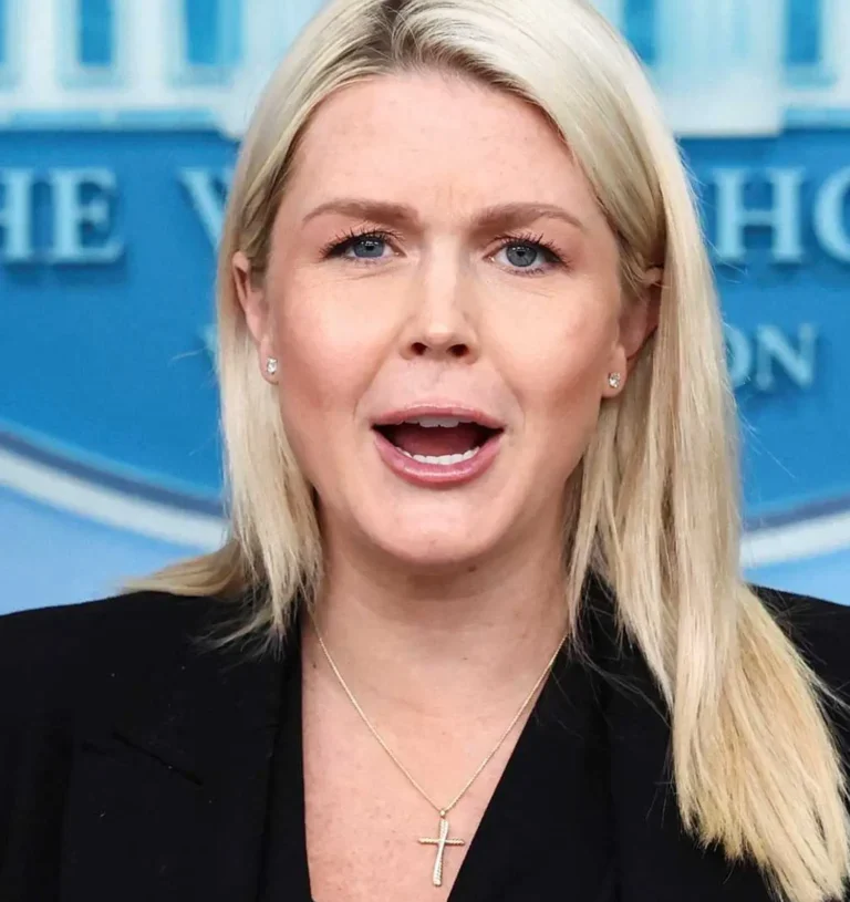 ‘They are going to come’: Karoline Leavitt’s ‘abundantly clear’ threat enrages analyst