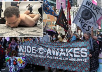 Who are ‘The Wide Awakes,’ leftist group WHCD gunman Cole Allen was supposedly a part of?