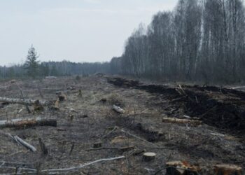 They’ve Got a Plan to Combat Global Warming (and Also Russian Tanks)