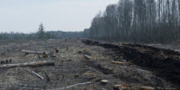 They’ve Got a Plan to Combat Global Warming (and Also Russian Tanks)