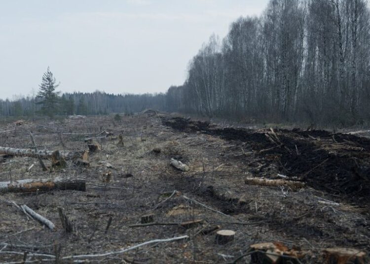 They’ve Got a Plan to Combat Global Warming (and Also Russian Tanks)