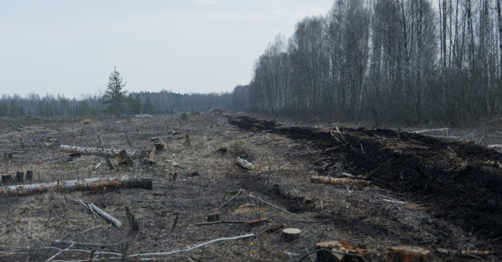 They’ve Got a Plan to Combat Global Warming (and Also Russian Tanks)