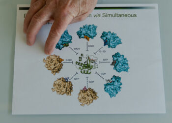 How an ‘Impossible’ Idea Led to a Pancreatic Cancer Breakthrough