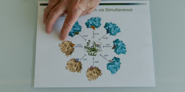 How an ‘Impossible’ Idea Led to a Pancreatic Cancer Breakthrough