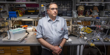 How a Funding Pause Derailed an Artificial Heart for Babies