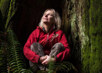 A Warning to Climate Scientists: Don’t Miss the Forest for the Trees