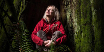 A Warning to Climate Scientists: Don’t Miss the Forest for the Trees