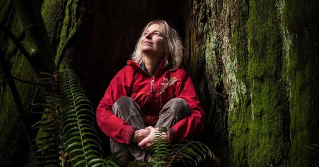 A Warning to Climate Scientists: Don’t Miss the Forest for the Trees