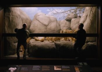 At a Los Angeles Museum, Giving New Life to Dead Animals