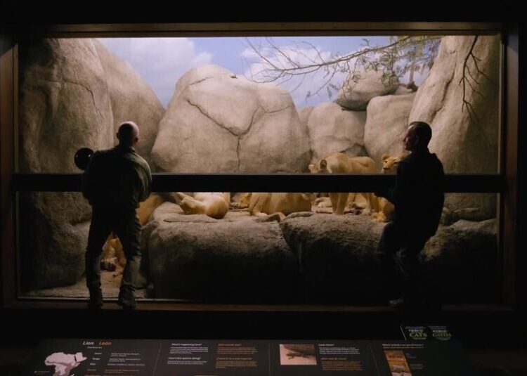 At a Los Angeles Museum, Giving New Life to Dead Animals