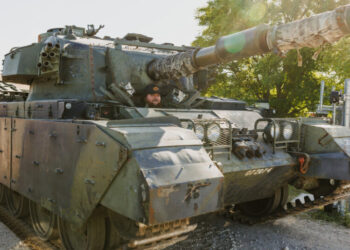 Backyard Battalions
