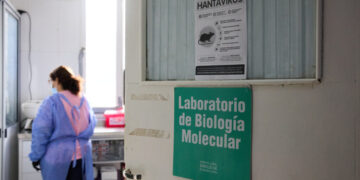Argentina Races to Find Origin of Hantavirus Contagion