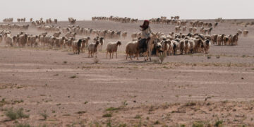 In Iraqi Desert, Two Israeli Outposts Were Kept Secret for Months